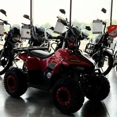 Квадроцикл детский YACOTA (Якота) RAPOSA 110 красный (машинокомплект)