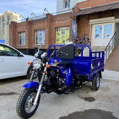 Трицикл грузовой Zip Motors (Зип Моторс) Triton 200 с ПСМ