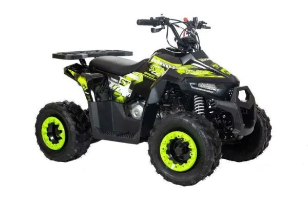 Квадроцикл детский Racer (Рейсер) RC110 Hawk чёрный/зелёный (машинокомплект) | Мототека