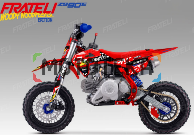 Питбайк FRATELI (Фратели) FRZ 90E 10/10