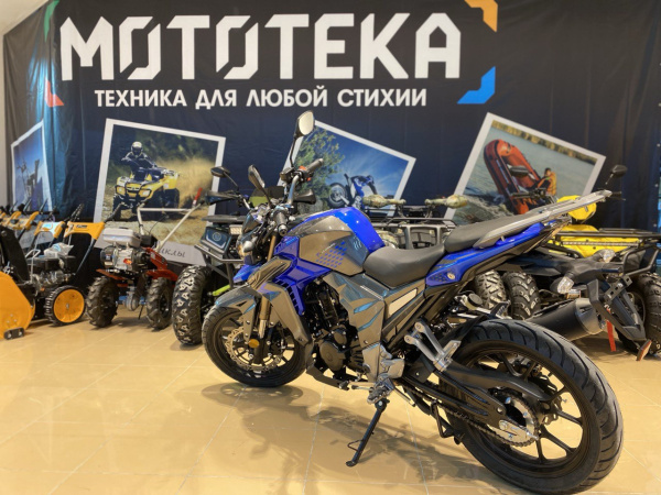 Мотоцикл дорожный Regulmoto (Регулмото) T - Leopard 300 синий с ПТС | Мототека